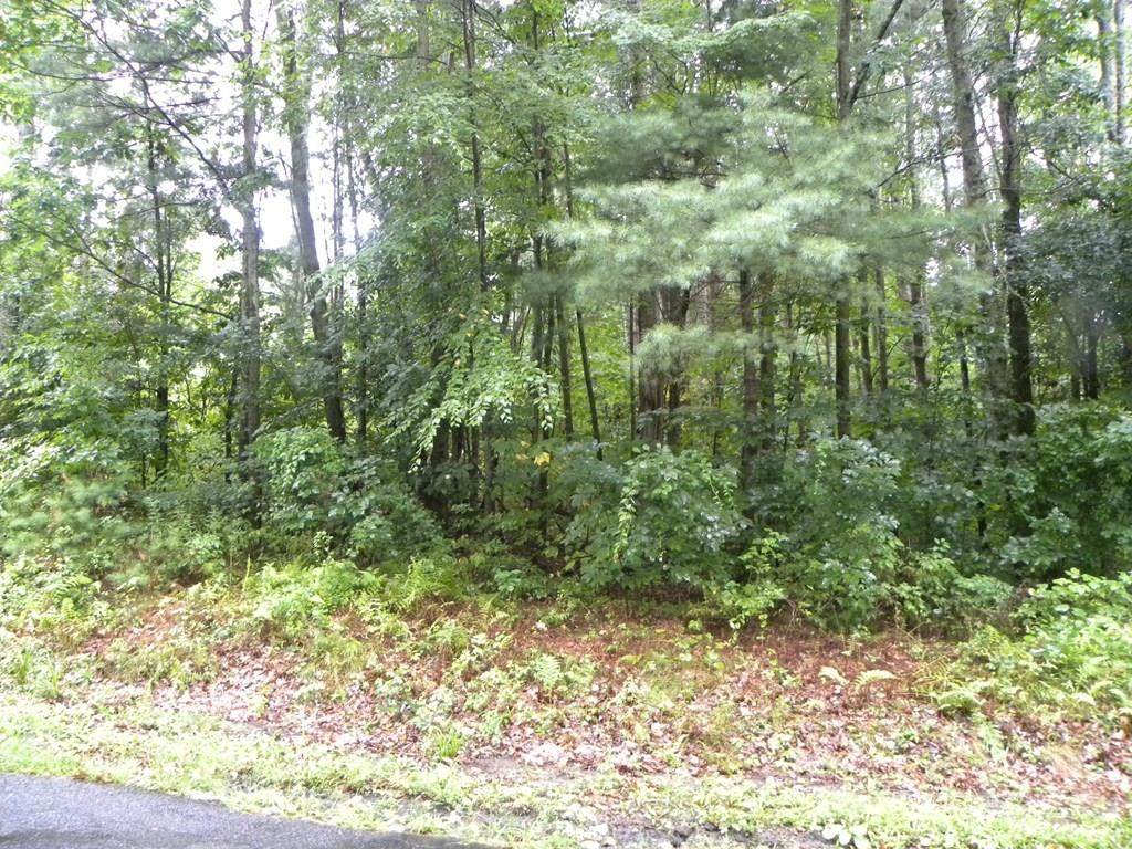 60 Ramshorn Rd - Photo 1
