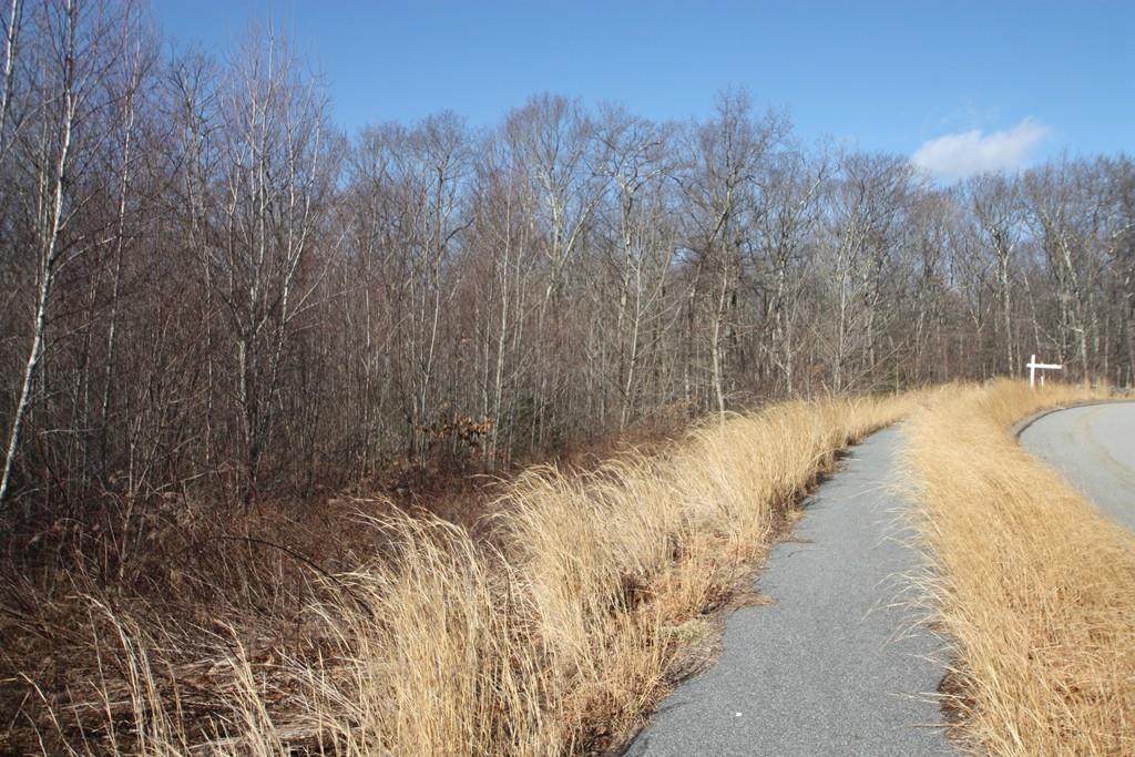 75 Old Farm Road - Photo 1