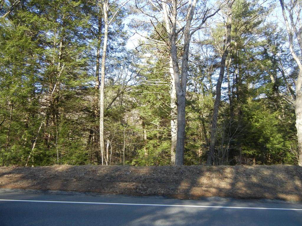 0 Long Plain Rd - Photo 1