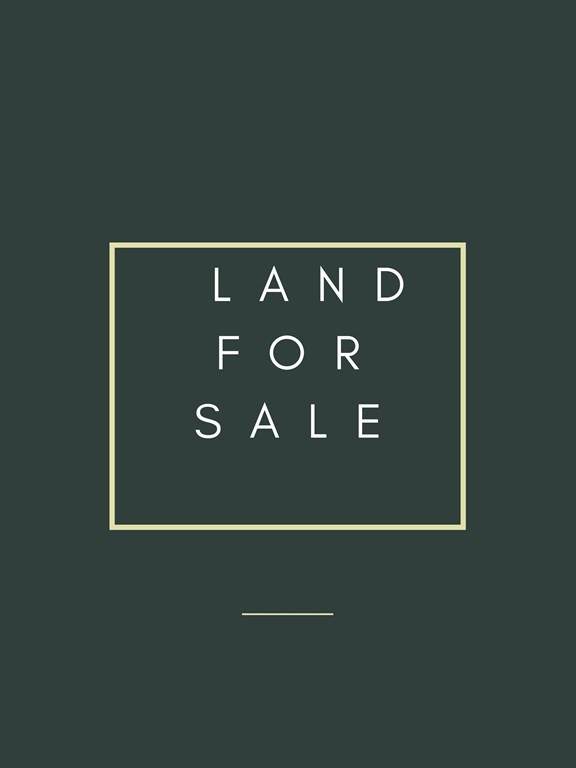 Lot 17 Cedar St ( Rt 85) - Photo 1