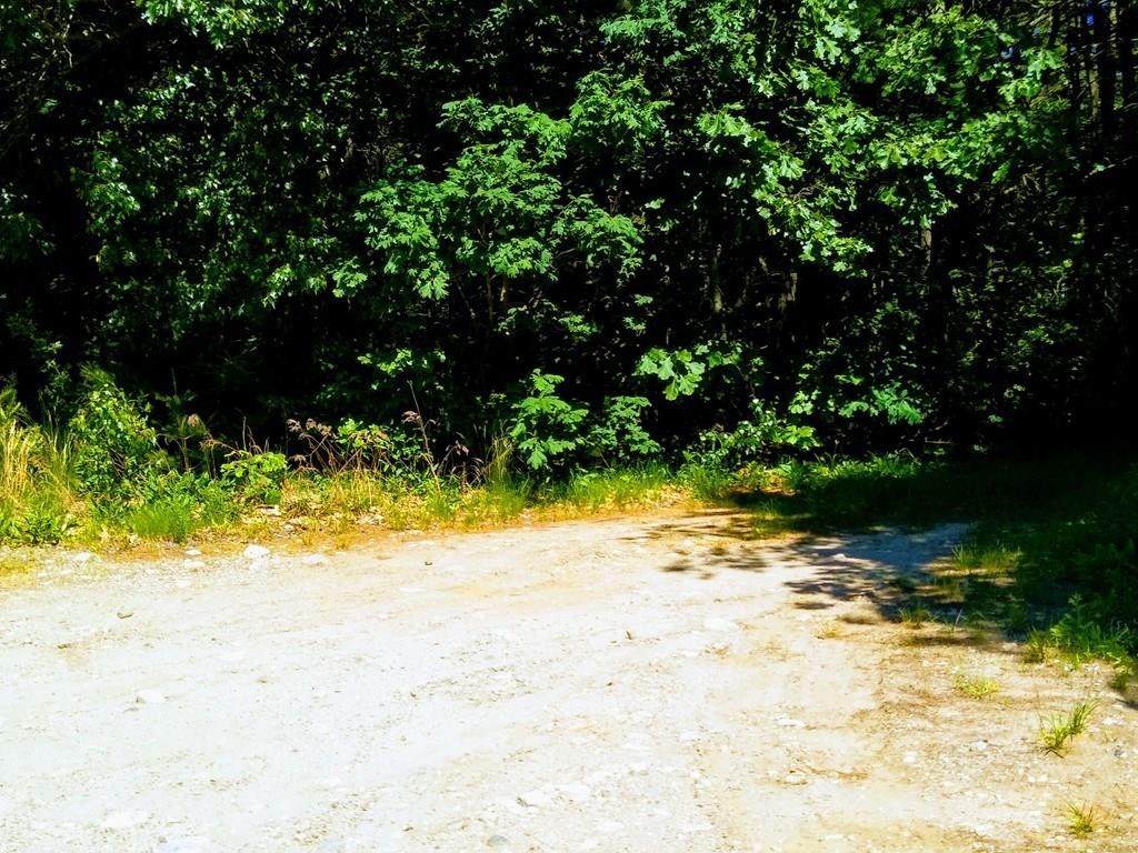 0 Sunny Brook - Photo 1