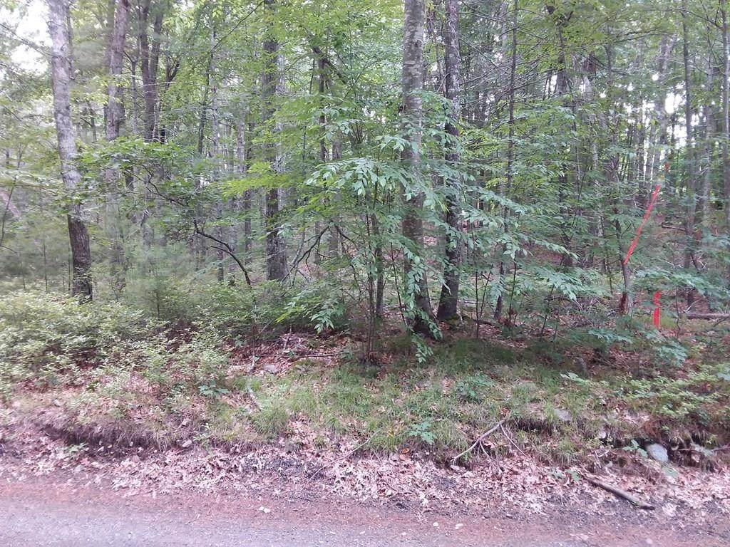 Lot 9 Harper Lane - Photo 1