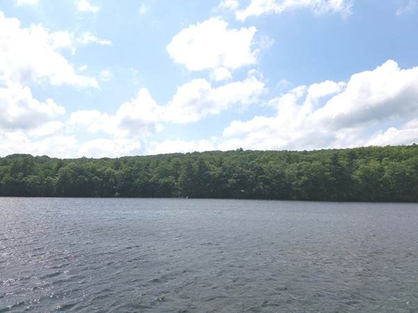 66 Westwood Dr - Photo 1
