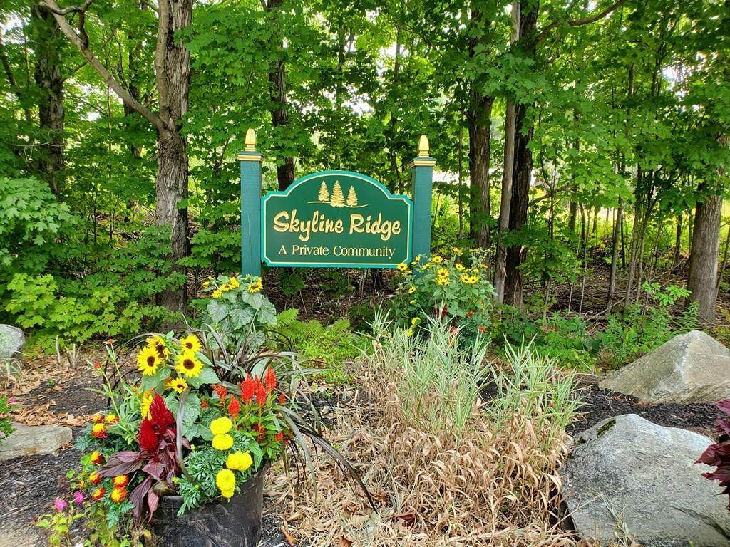 Lot 19 Skyline Ridge Rd - Photo 1