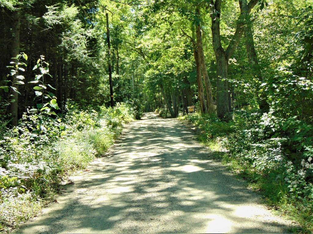 395 Oxbow Rd. - Photo 1