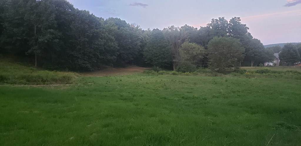 0 Jones Rd - Photo 1