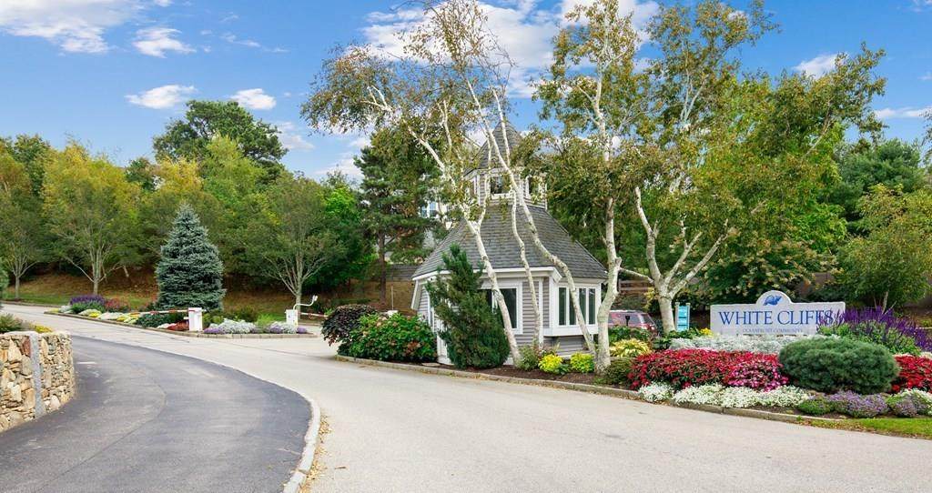 557 White Cliff Dr. - Photo 1