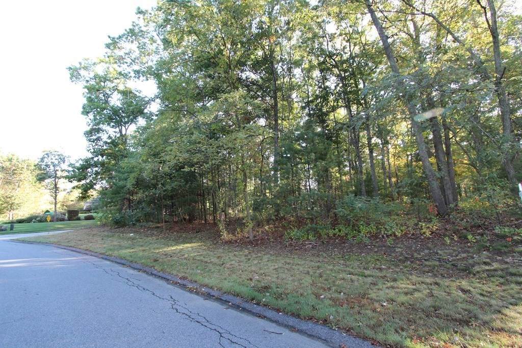 87 Cameron Way - Photo 1