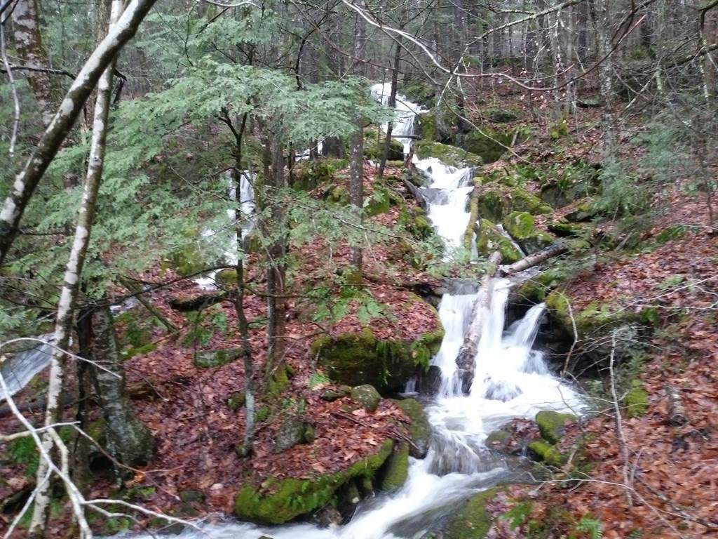 lot 29.3 East River Road - Photo 1