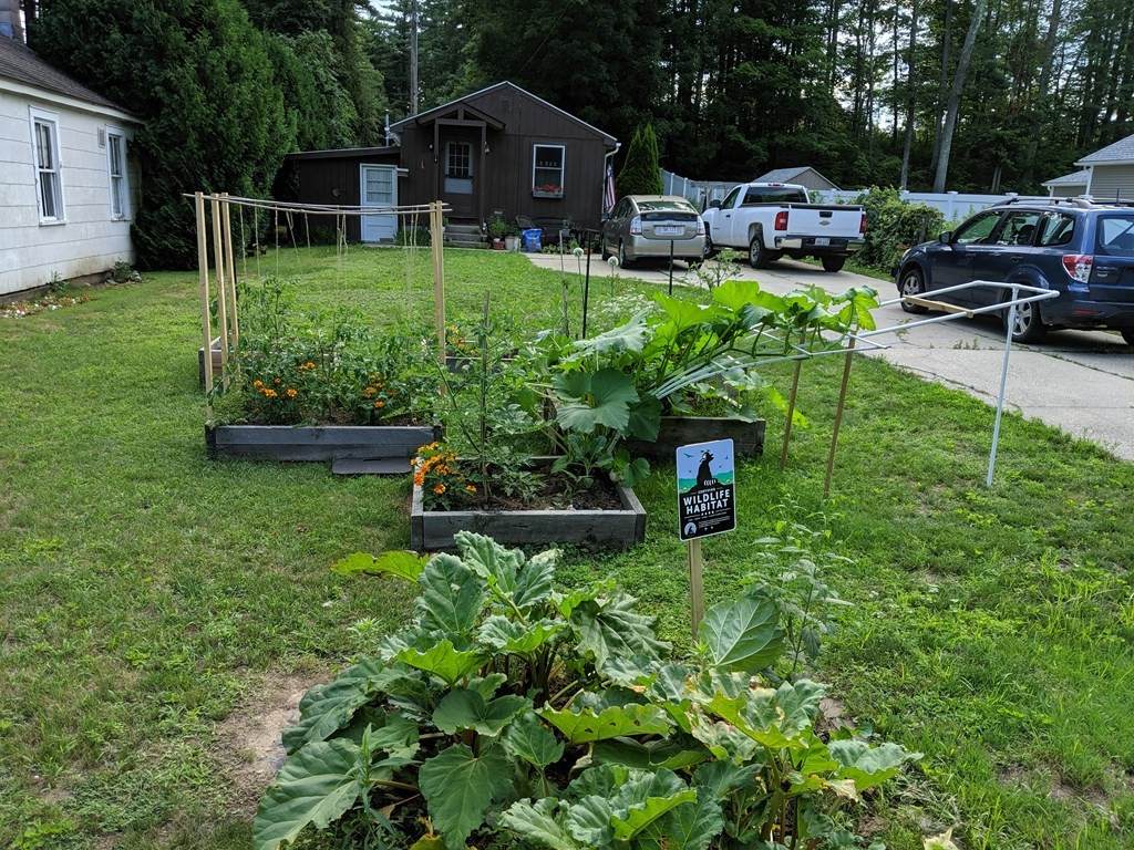 603 Alden St. - Photo 1