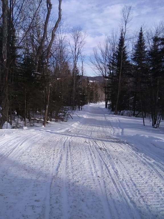 Lot 7 Titus Hill Road - Photo 1