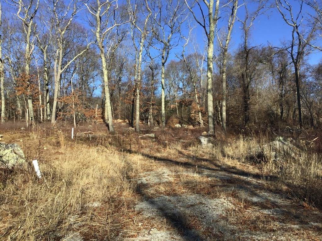 0 Crandall Rd - Photo 1