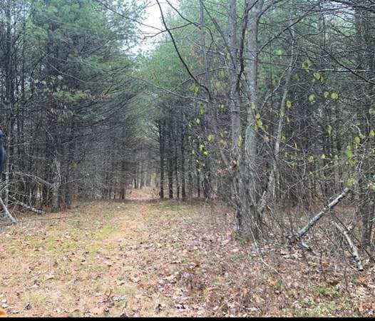 0 Packard Hill Road - Photo 1