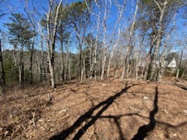 1920R State Road - Photo 1
