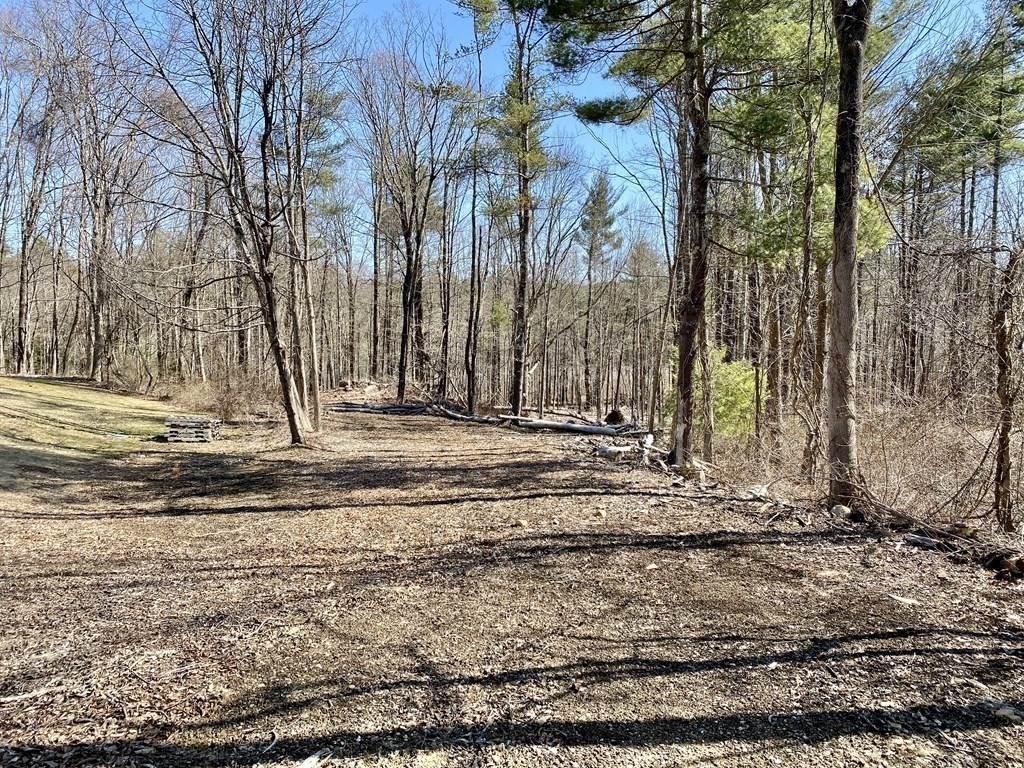 Lot 1 Brentwood Dr - Photo 1
