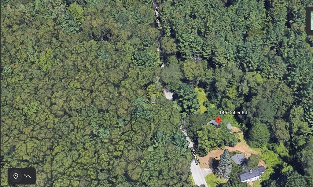 145 Cutler Road - Photo 1
