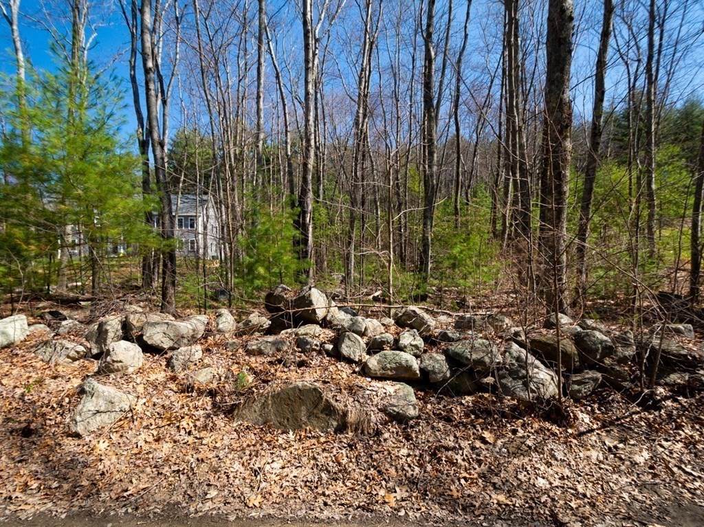 Lot 25-53 Stiles Rd - Photo 1