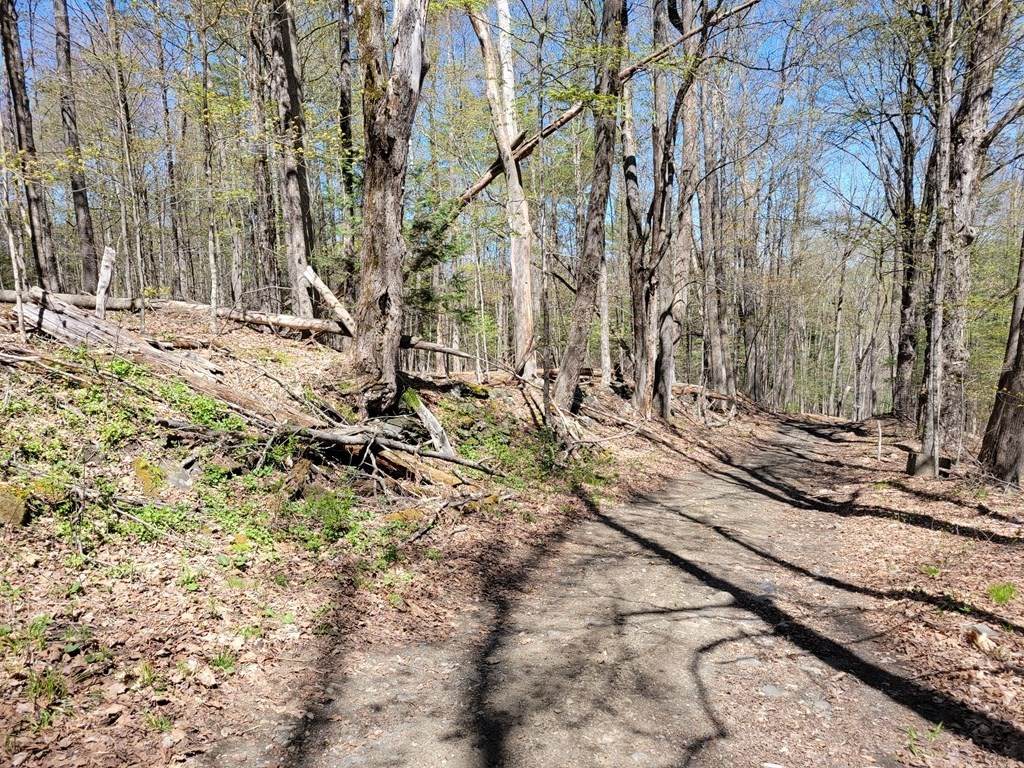 0 East Hill Road - Photo 1