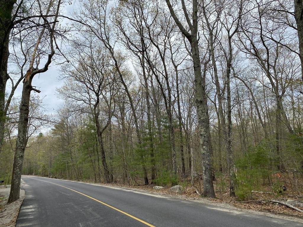384-Lot D Mountain St - Photo 1