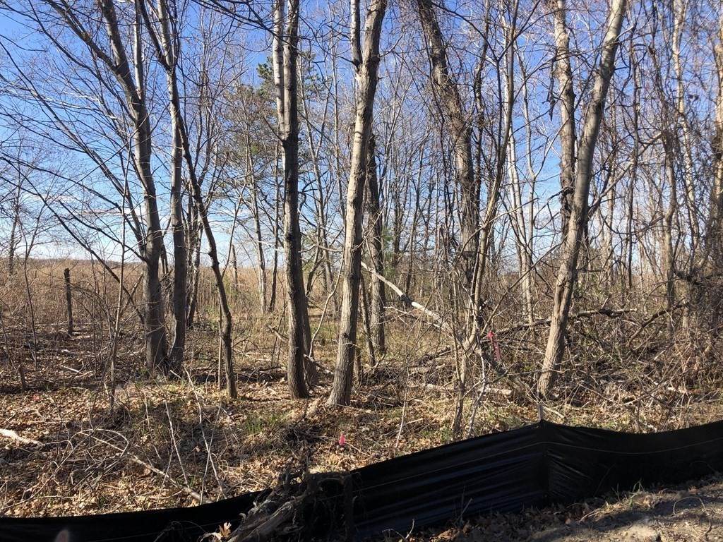 35 Old County Road - Photo 1
