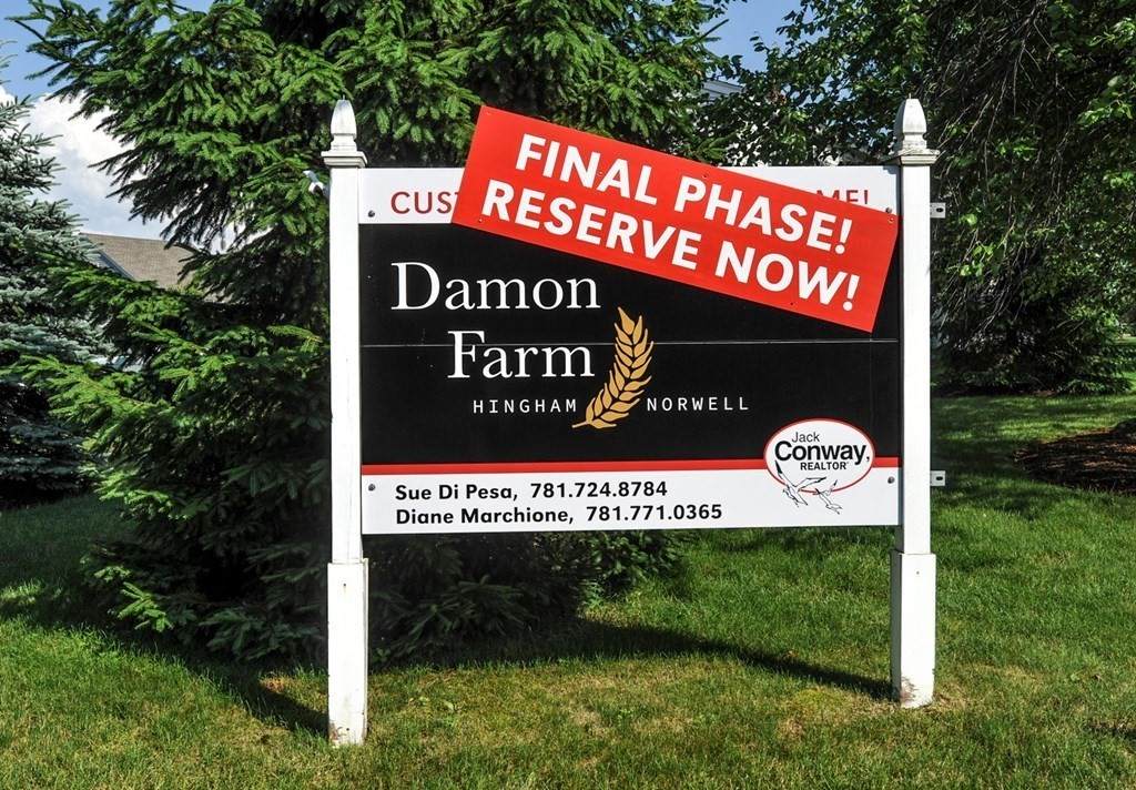31 Damon Farm Way - Photo 1