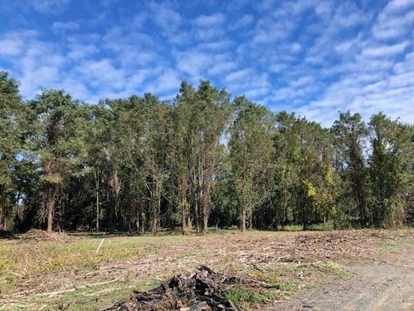 0 North Branch Road (Town Road) - Photo 1