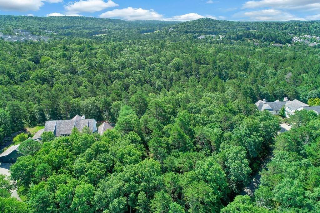 22 Talcott Pines - Photo 1