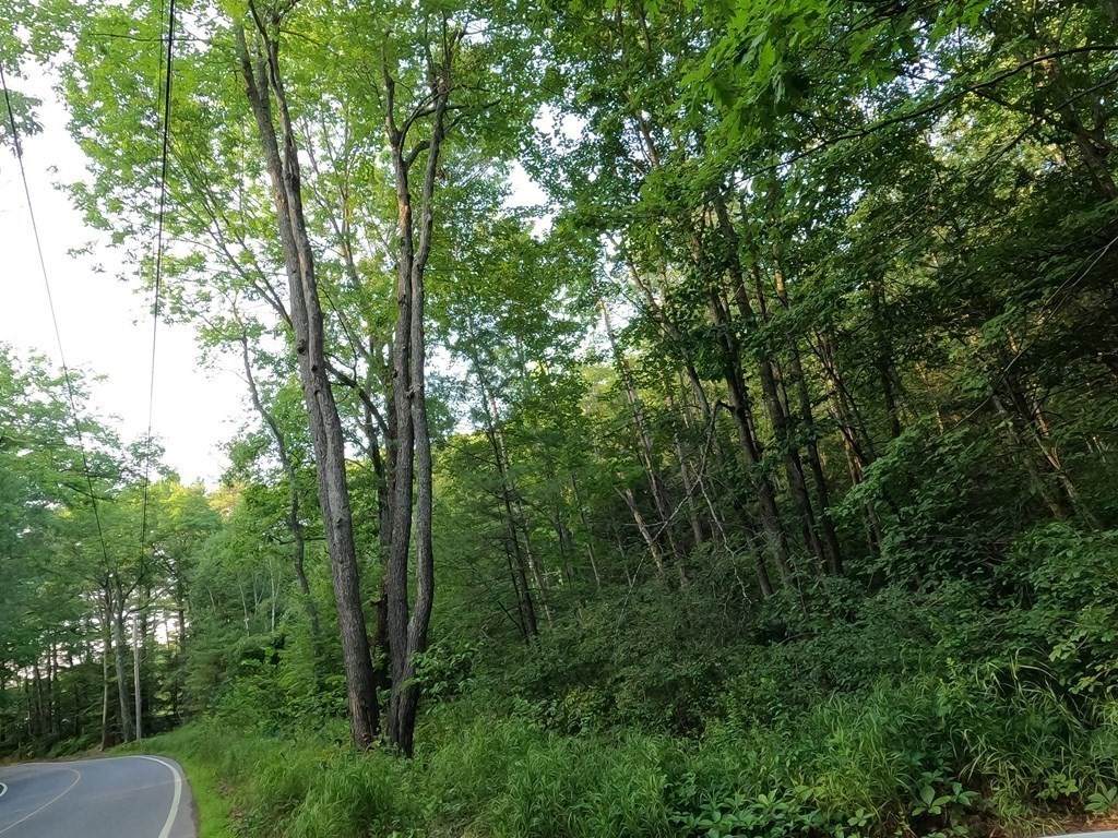 Lot 7 Minott St - Photo 1