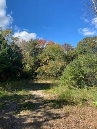 120 Cherry - Photo 1