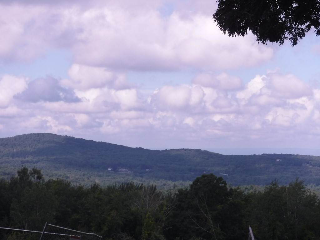 Lt 5 Hovey Rd - Photo 1
