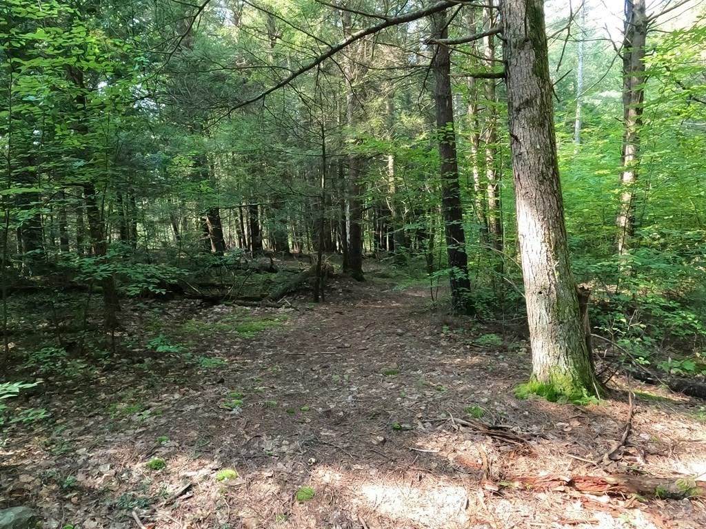 Lot 32-A Valentine Rd - Photo 1