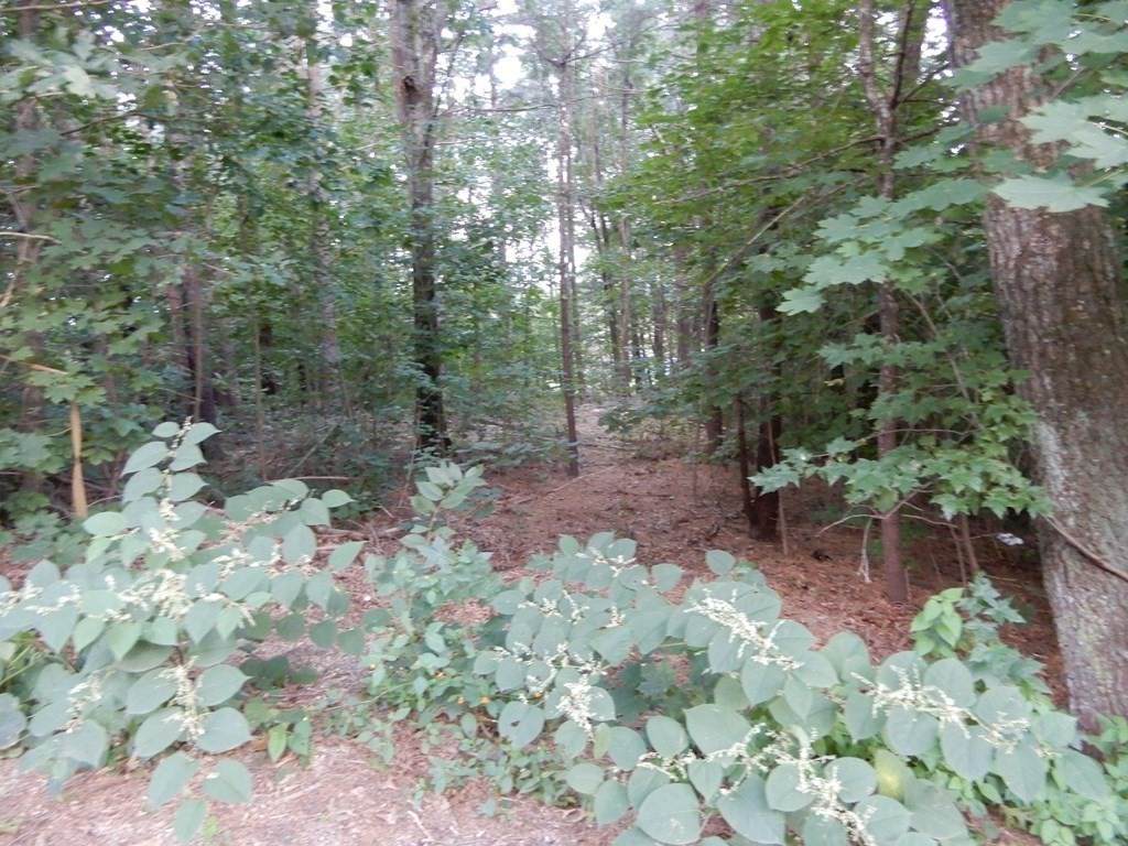 54 Clearview Dr - Photo 1