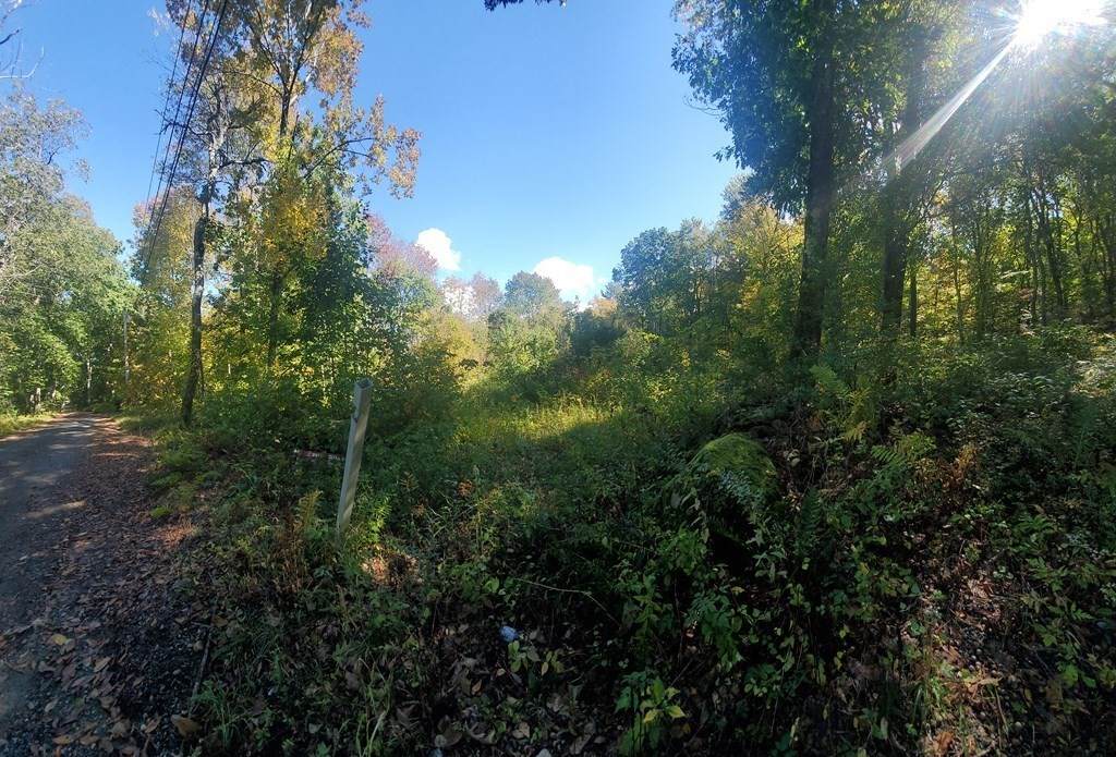 Lot 1A Jackson Road - Photo 1