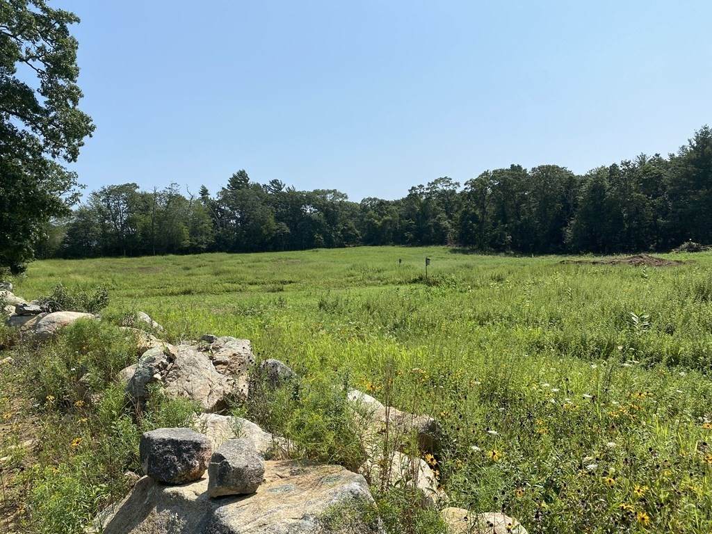 000 Potomska Road - Photo 1