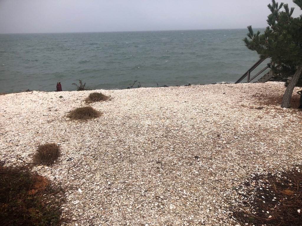 90 Shore Drive West - Photo 1