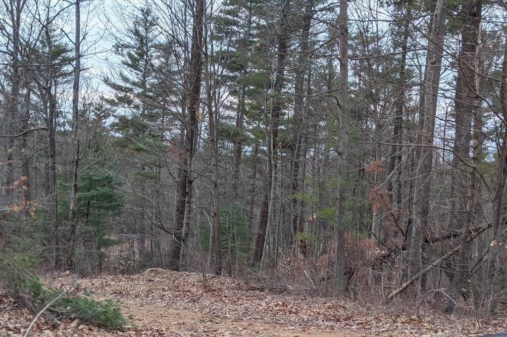 514 Old County Rd. - Photo 1
