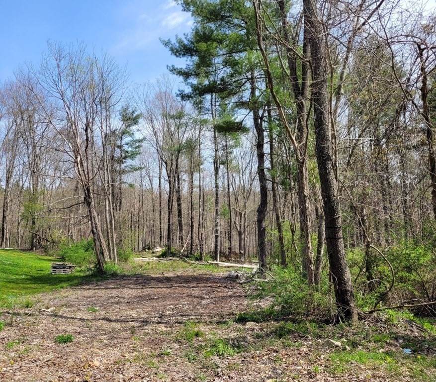 Lot 1 Brentwood Dr - Photo 1