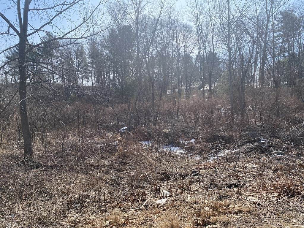Lot 41 Meadow Rd - Photo 1