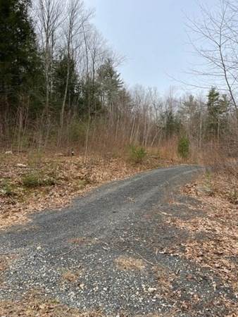 0 Julius Hall Rd - Photo 1