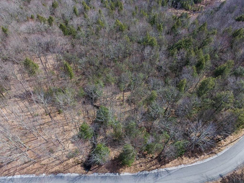 00 Beech Hill Rd - Photo 1