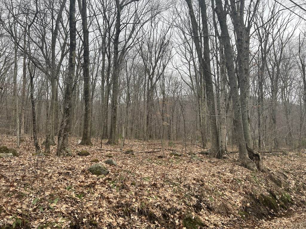 0 Lot 12 Chapin Rd - Photo 1