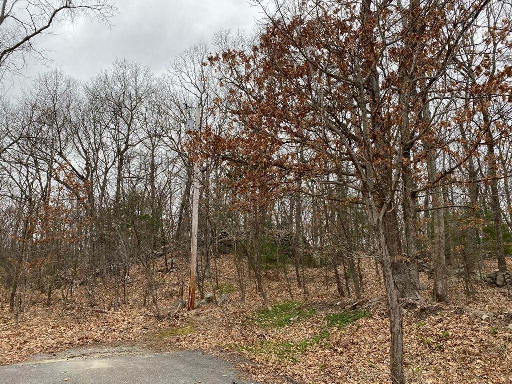 60 Arrowhead Rd - Photo 1
