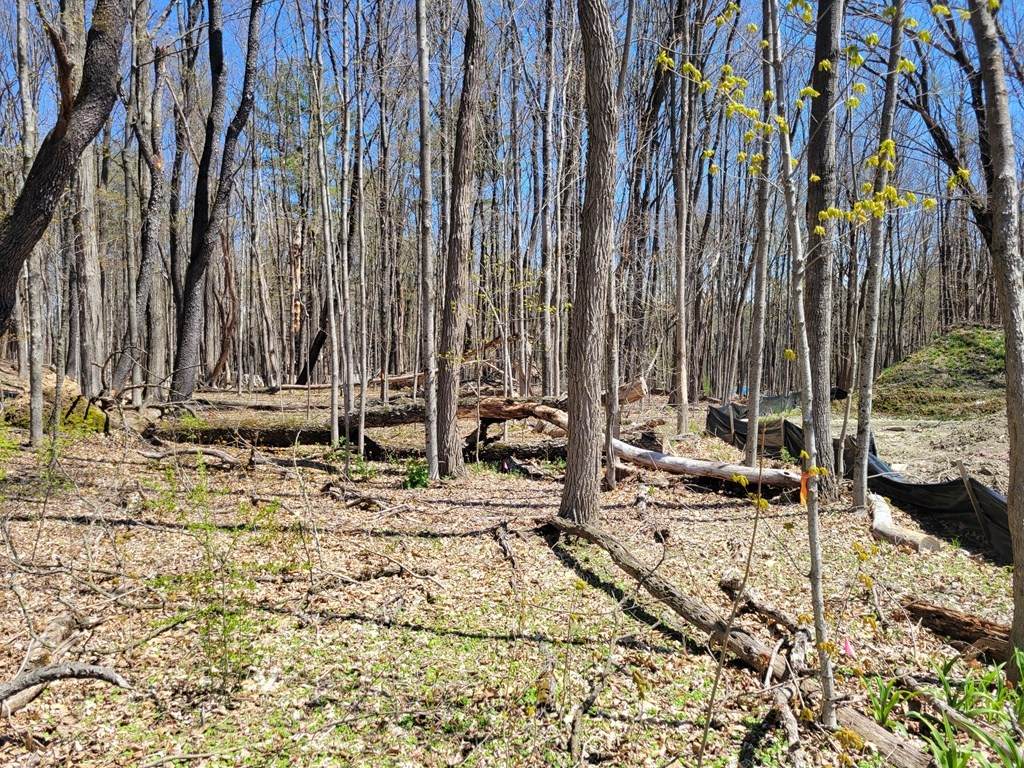 Lot 1 Pickett Lane - Photo 1