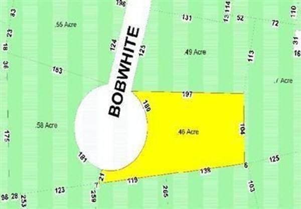 3 Bob-White Ln - Photo 1
