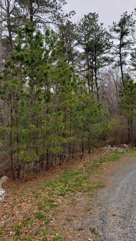 0 Tasha's Lane - Photo 1