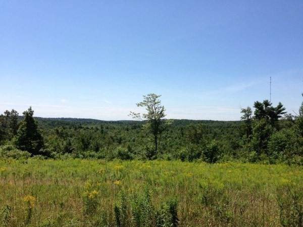 252 East County Road - Photo 1