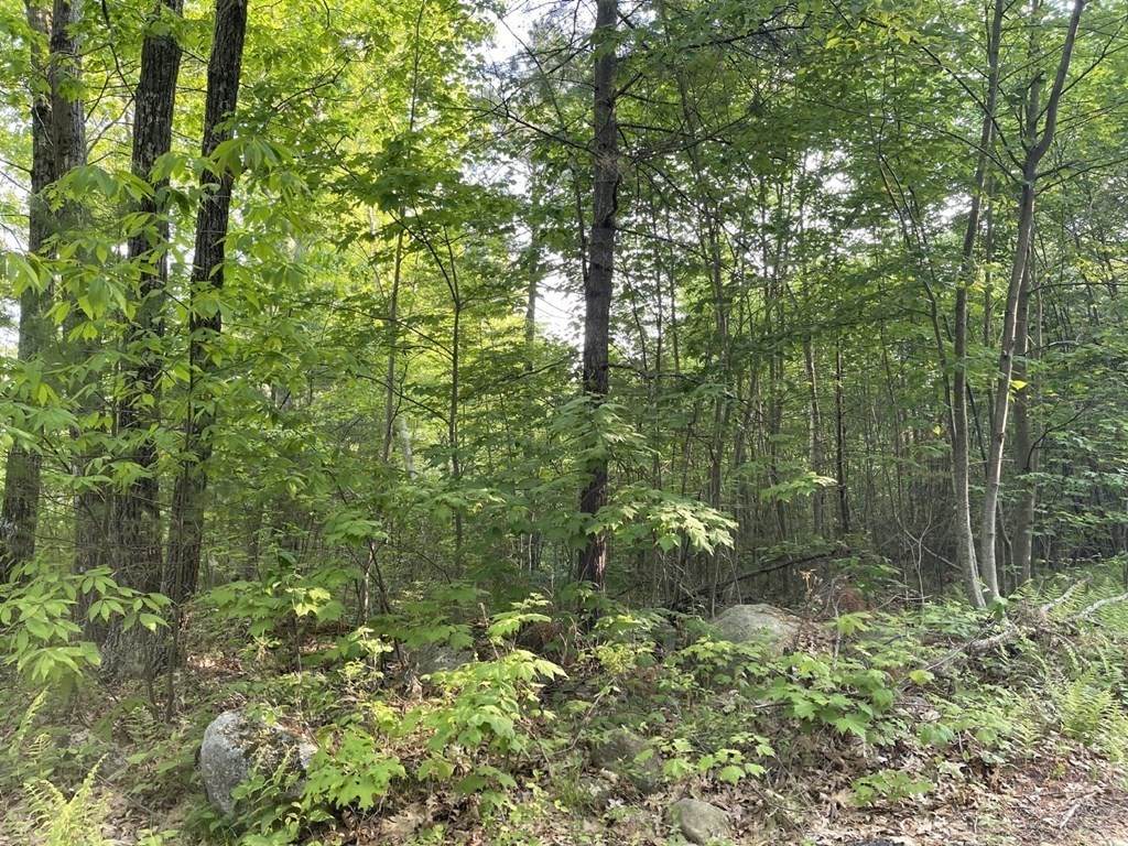 400 Miner Rd - Photo 1