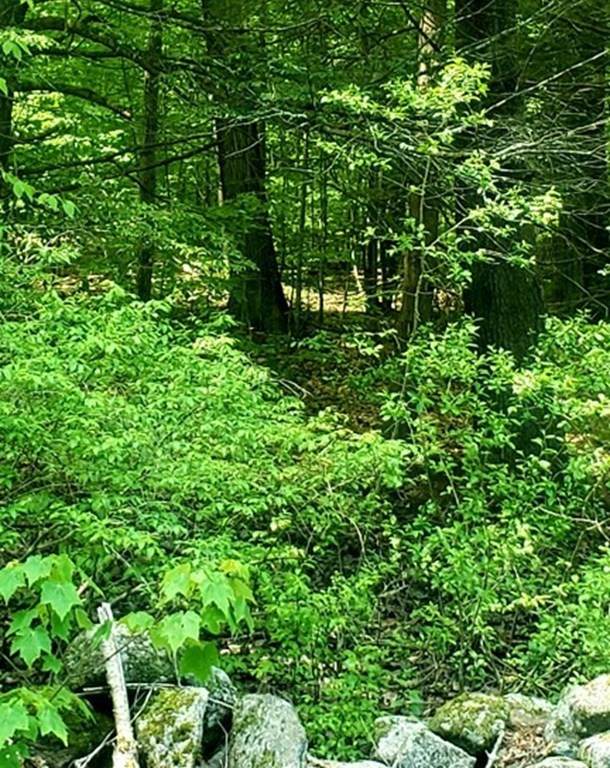 Lot 6 Colebrook River Road - Photo 1