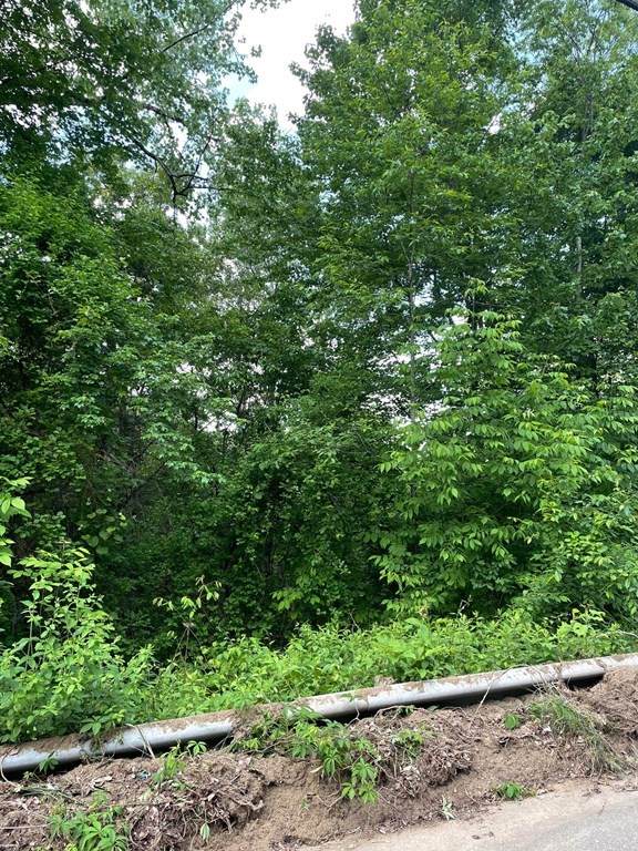 15 Holland Rd Lot 1 - Photo 1