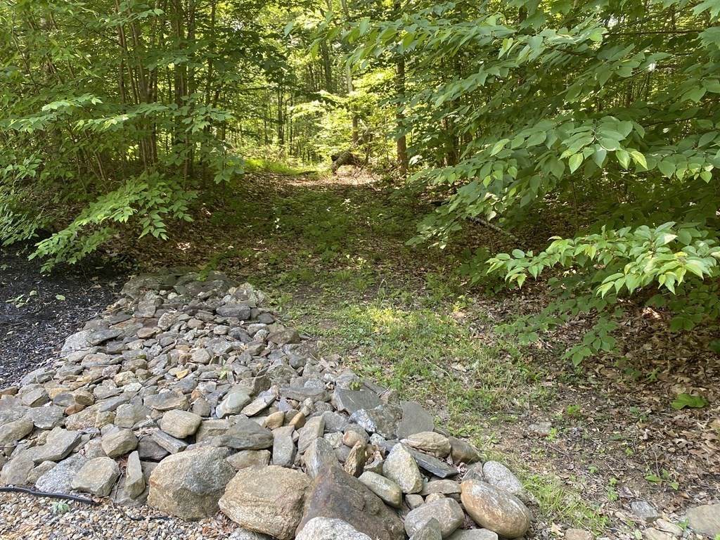 99 Town Farm Rd - Photo 1
